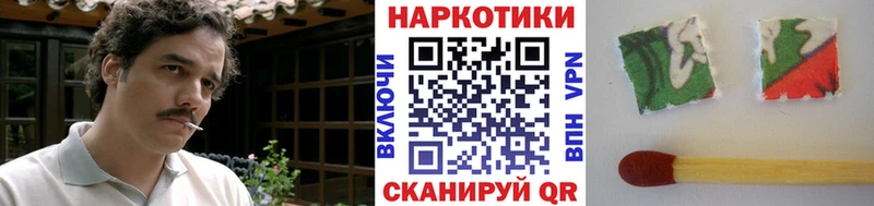 Галлюциногенные грибы Олонец