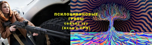 кокс Арсеньев