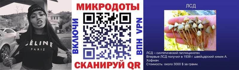 Псилоцибиновые грибы Magic Shrooms  Олонец 